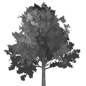 Dark Tree Icon 150