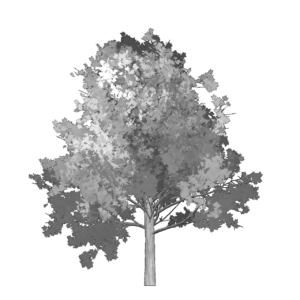 Tree Icon 150